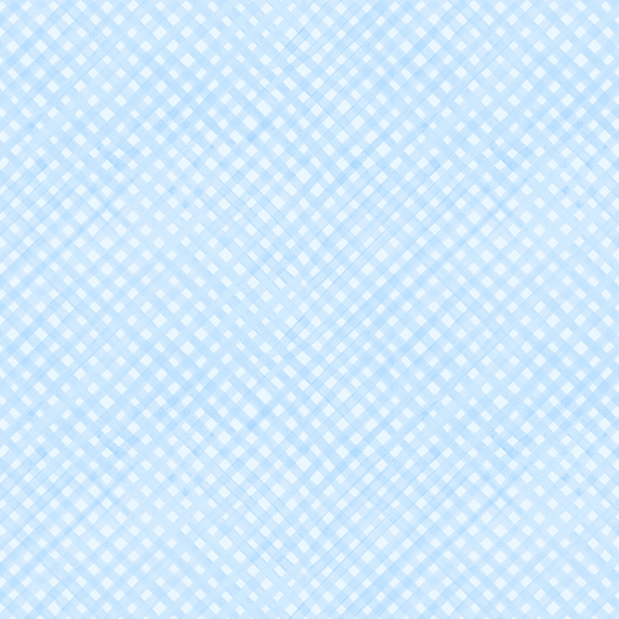 CSHO 6450 BLUEBERRY